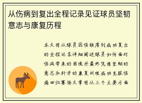 从伤病到复出全程记录见证球员坚韧意志与康复历程